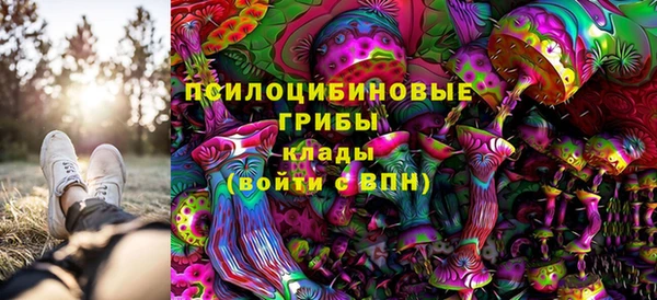 ECSTASY Михайловка