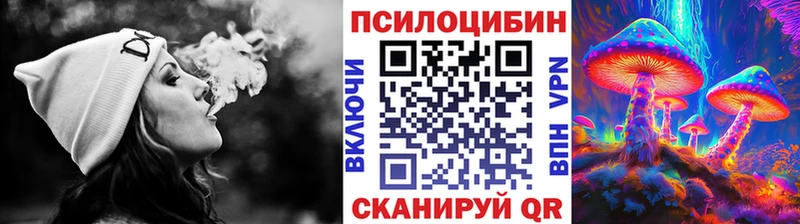 как найти закладки  Мосальск  Галлюциногенные грибы прущие грибы 