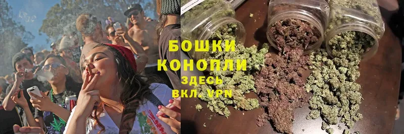 наркошоп  Мосальск  Канабис OG Kush 